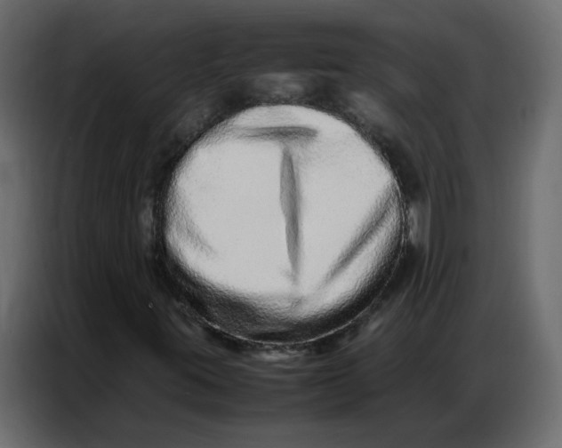 X0000086741395200705041358