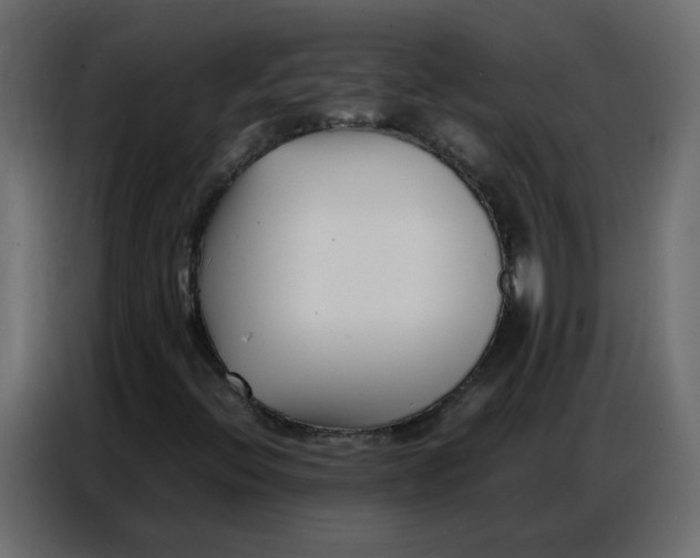 X0000086741396200705041358