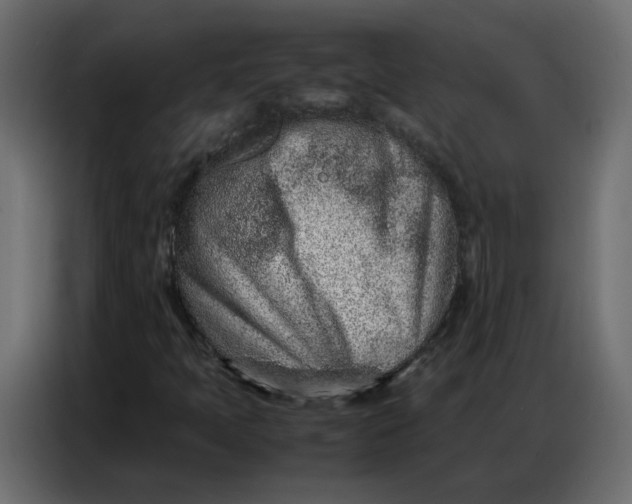 X0000086741397200705041358