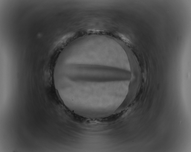 X0000086741398200705041358