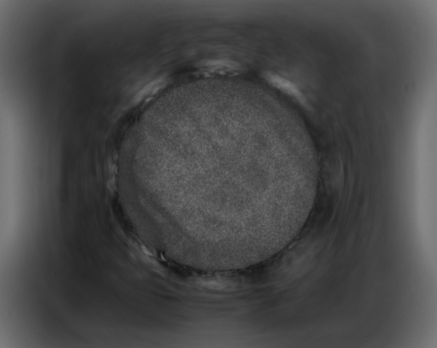 X0000086741399200705041358