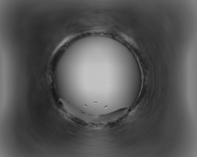 X0000086741400200705041358