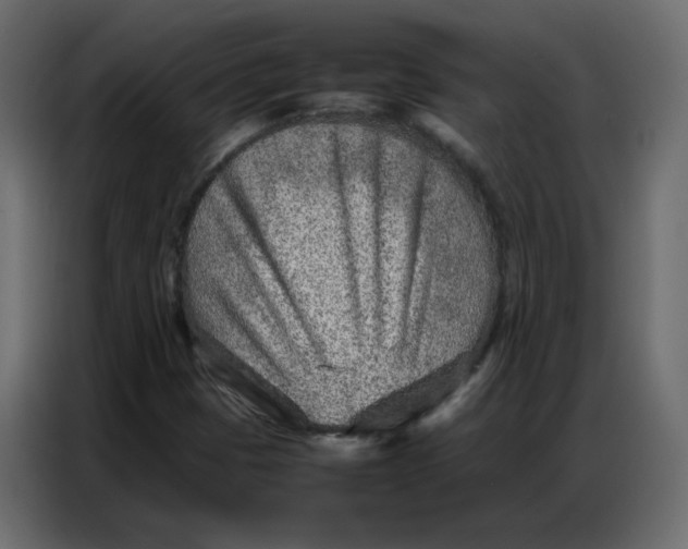 X0000086741401200705041358