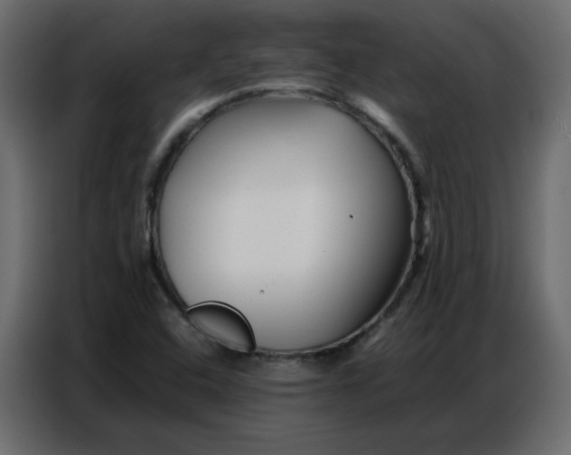 X0000086741408200705041358