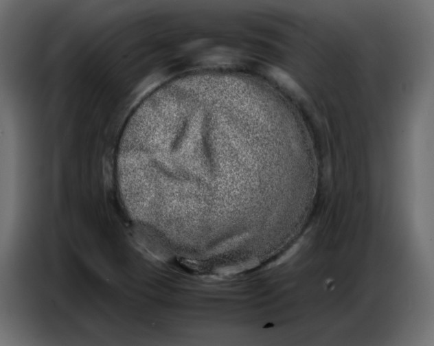 X0000086741409200705041358