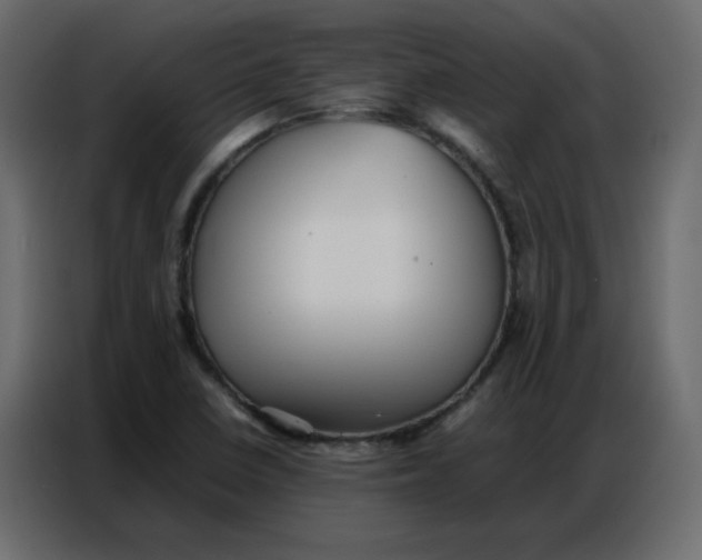 X0000086741410200705041358