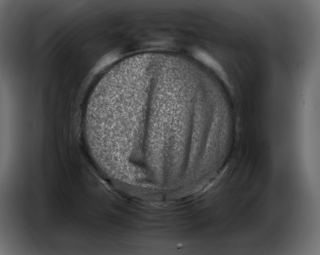 X0000086741411200705041358