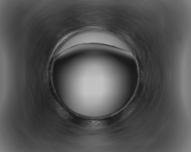 X0000086741412200705041358