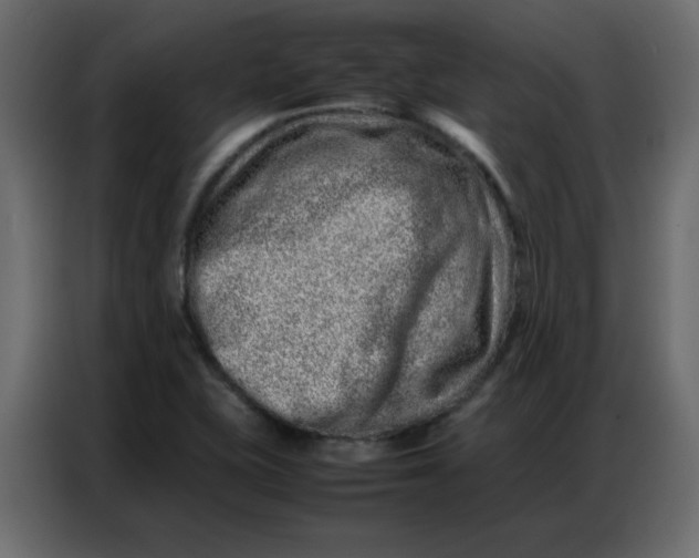 X0000086741415200705041358