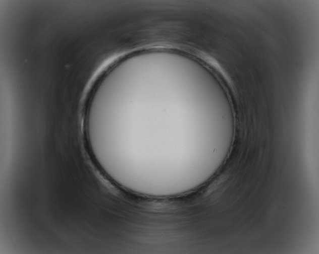 X0000086741416200705041358