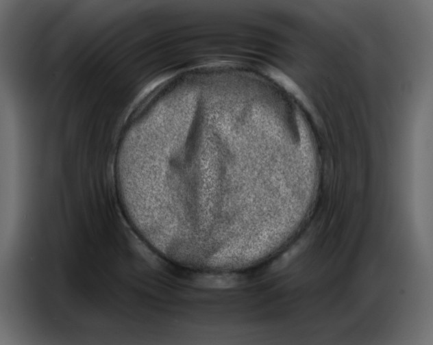 X0000086741417200705041358