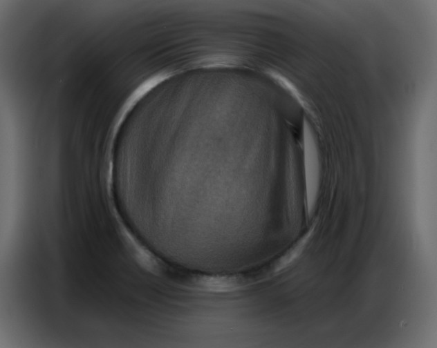 X0000086741418200705041358