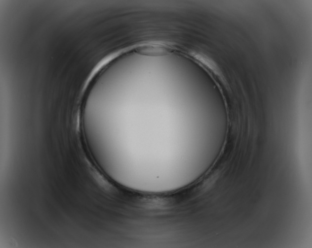 X0000086741420200705041358