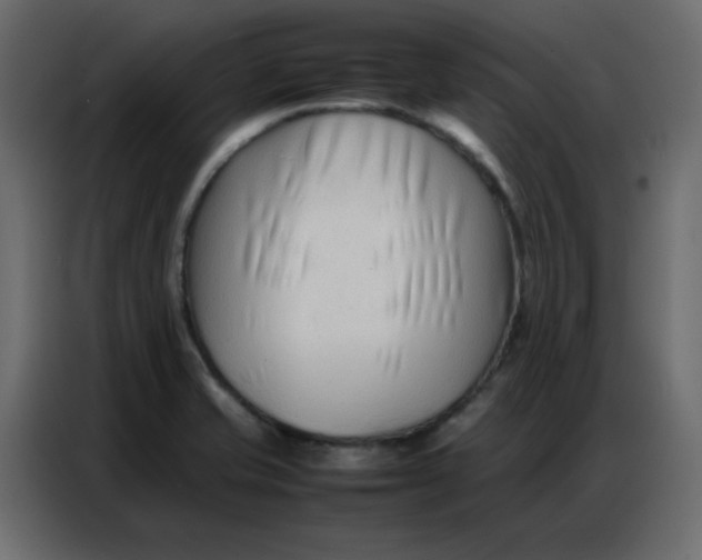 X0000086741421200705041358