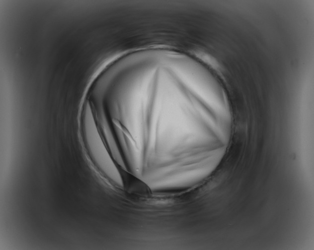 X0000086741423200705041358