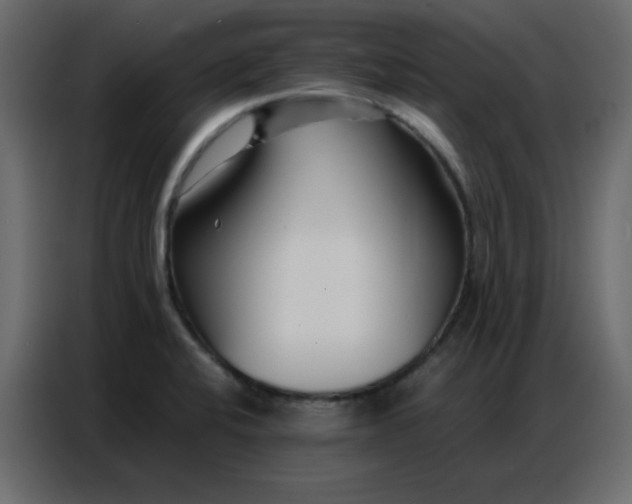 X0000086741424200705041358