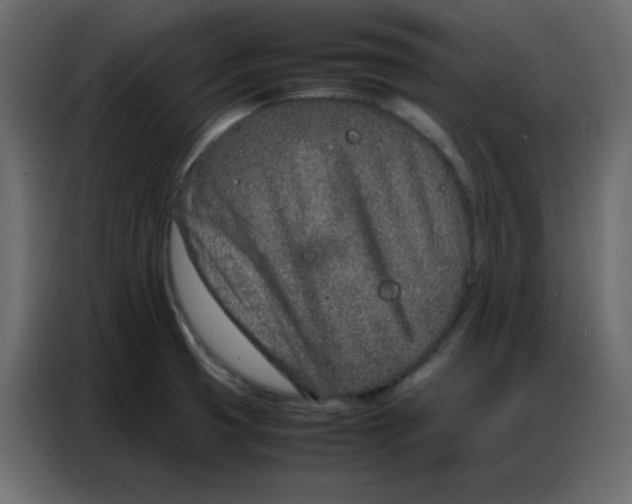 X0000086741425200705041358