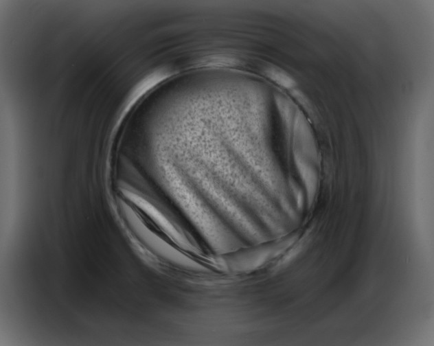 X0000086741426200705041358