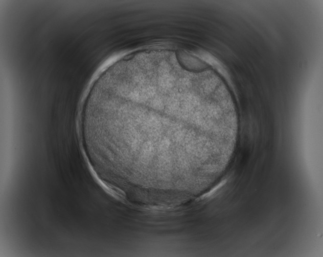 X0000086741429200705041358