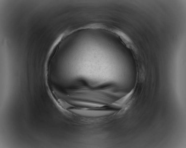 X0000086741430200705041358