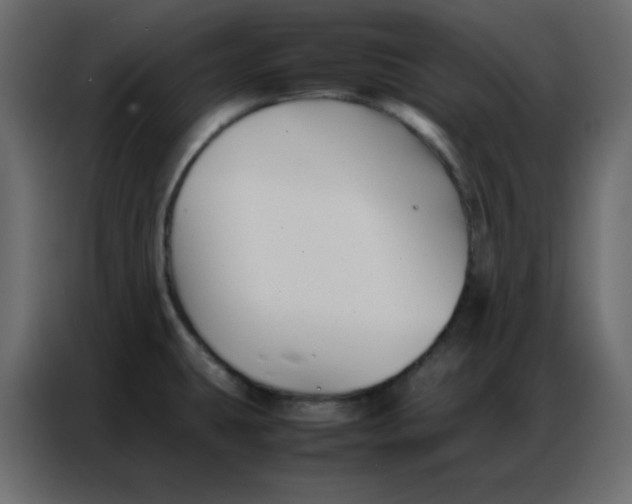 X0000086741431200705041359