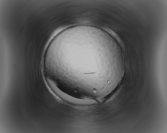 X0000086741432200705041359