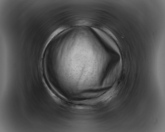 X0000086741434200705041359