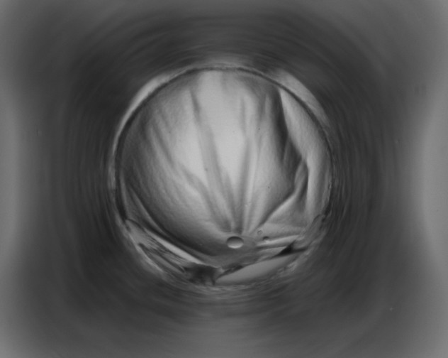 X0000086741436200705041359