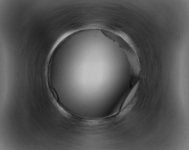 X0000086741438200705041359