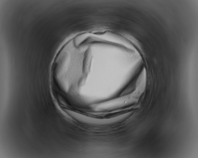 X0000086741439200705041359