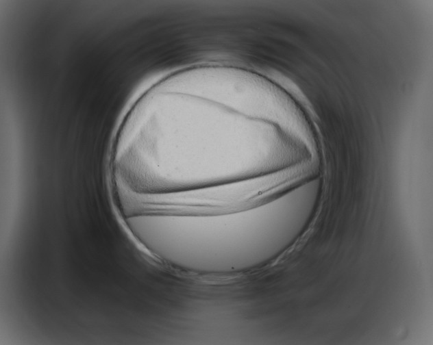 X0000086741440200705041359