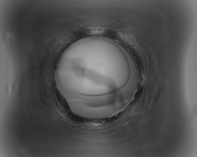 X0000086741441200705041358