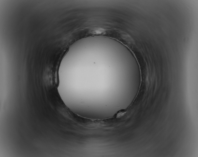 X0000086741442200705041358