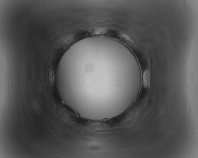 X0000086741443200705041358