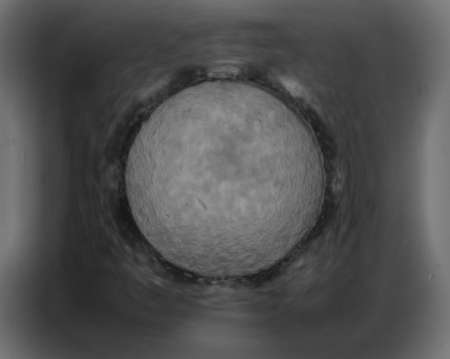 X0000086741445200705041358