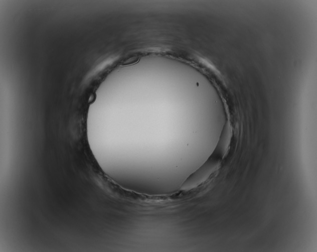 X0000086741448200705041358