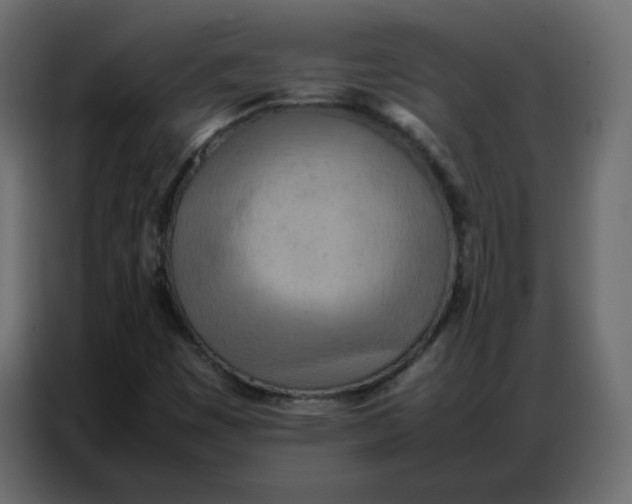 X0000086741449200705041358