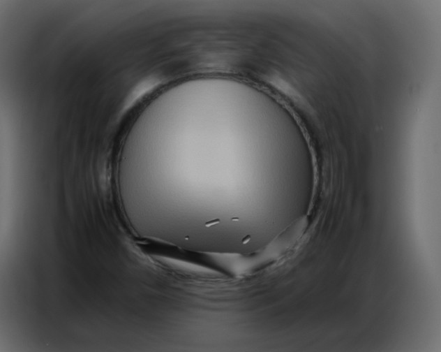 X0000086741450200705041358