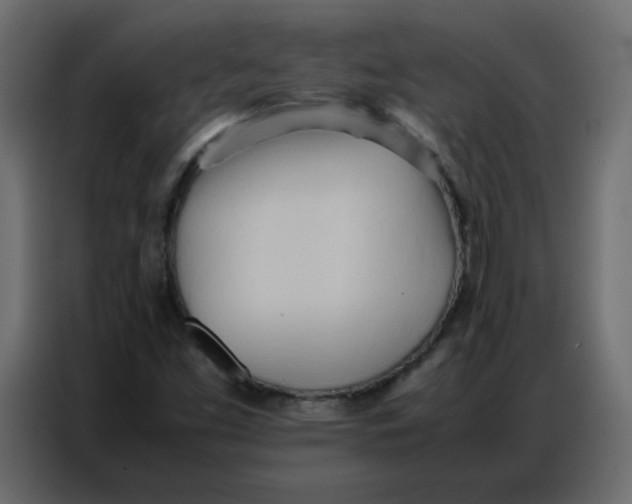 X0000086741453200705041358