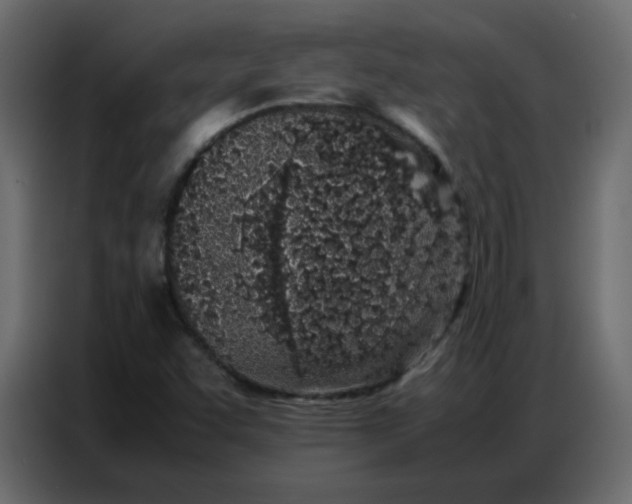 X0000086741455200705041358