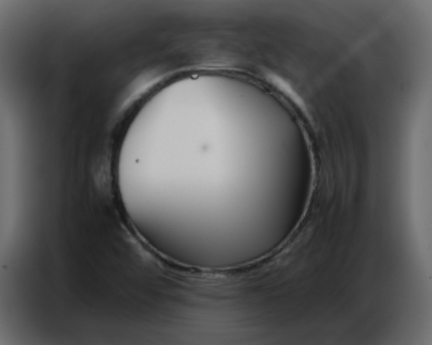 X0000086741456200705041358