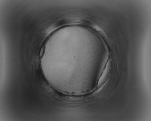 X0000086741457200705041358