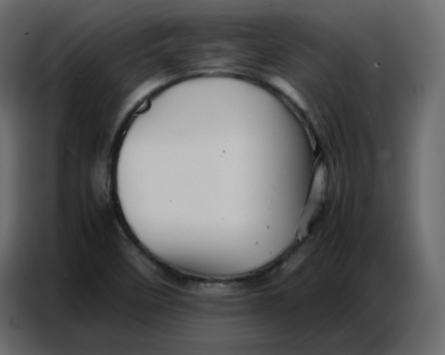 X0000086741458200705041358