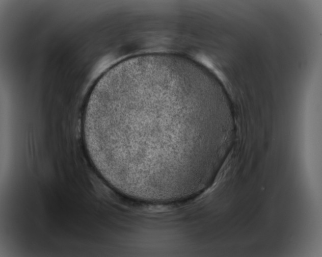 X0000086741459200705041358