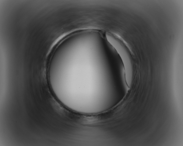 X0000086741460200705041358