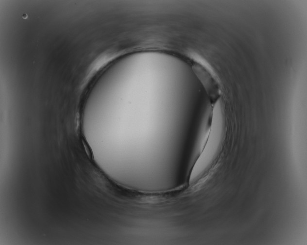 X0000086741461200705041358