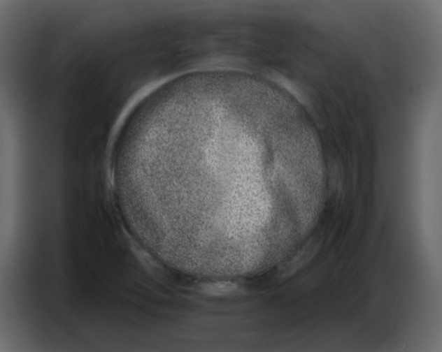 X0000086741462200705041358