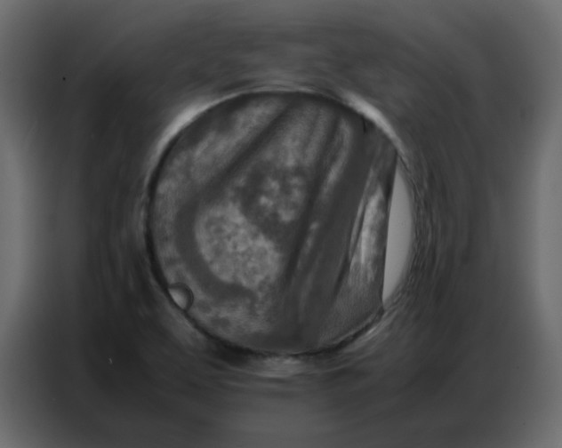 X0000086741463200705041358