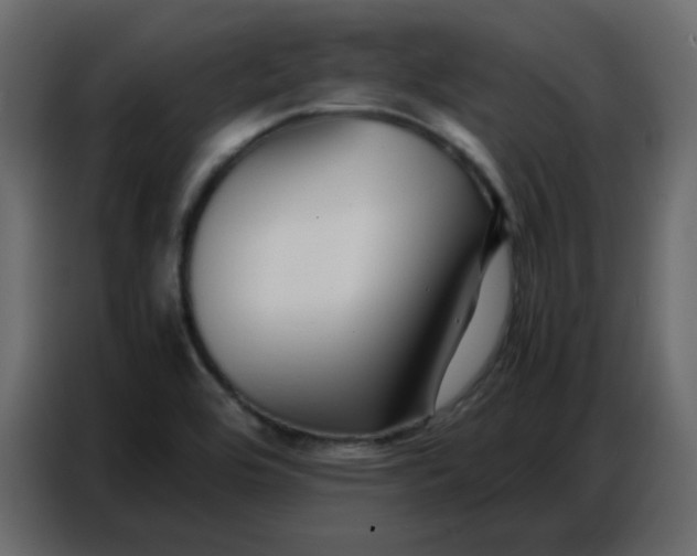 X0000086741464200705041358