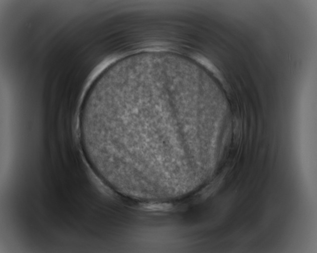 X0000086741466200705041358